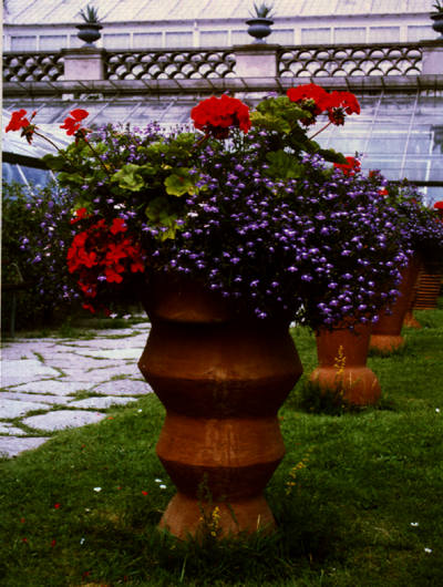 Urtepotter i Botanisk Have